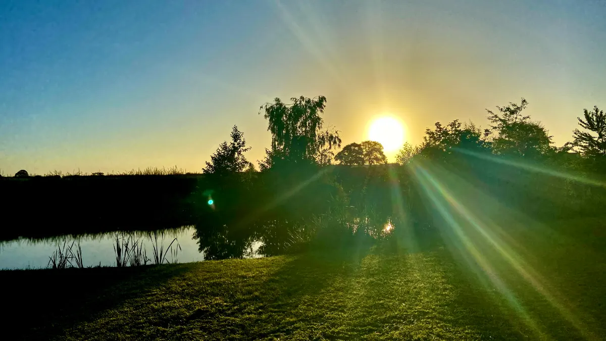 sunrise sandbach fishery