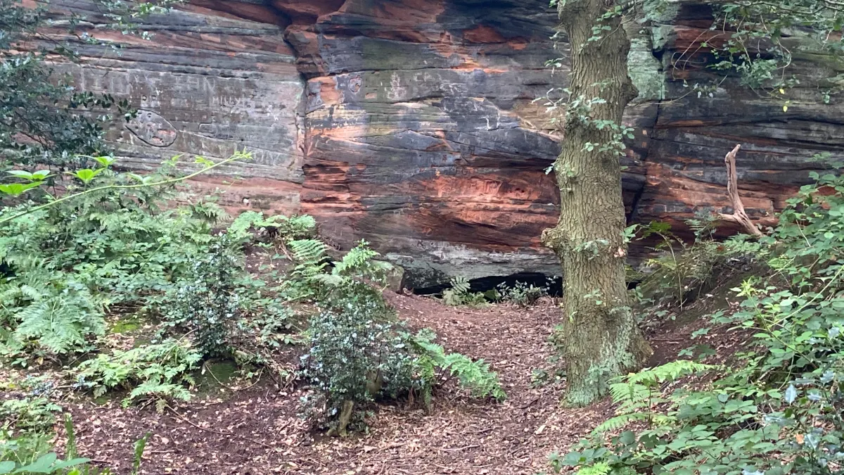 On the Frodsham to Delamere on the Sandstone Trail route