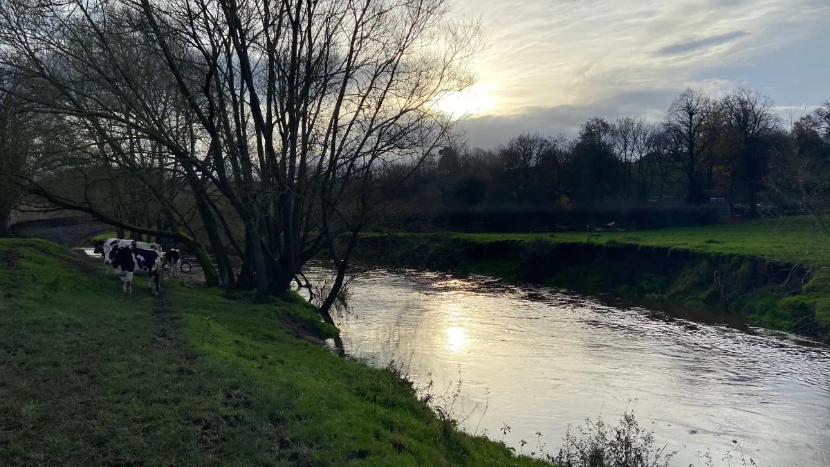 On the Holmes Chapel: the Dane and the Croco route