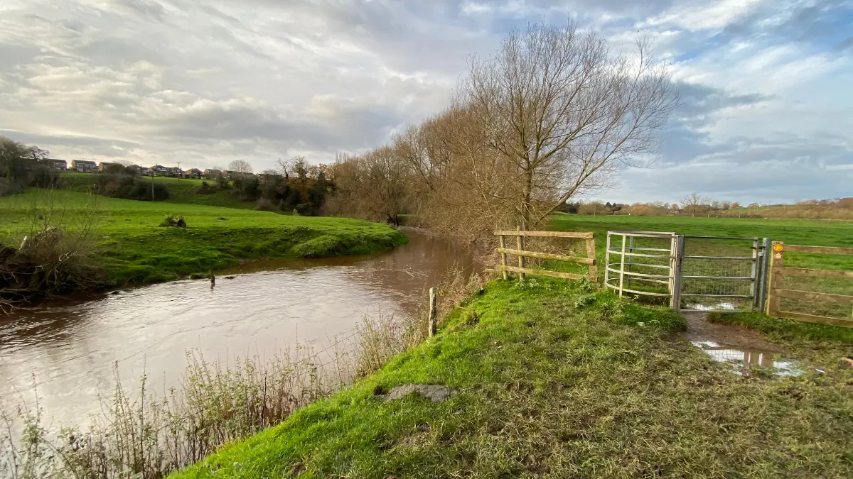 On the Holmes Chapel: the Dane and the Croco route