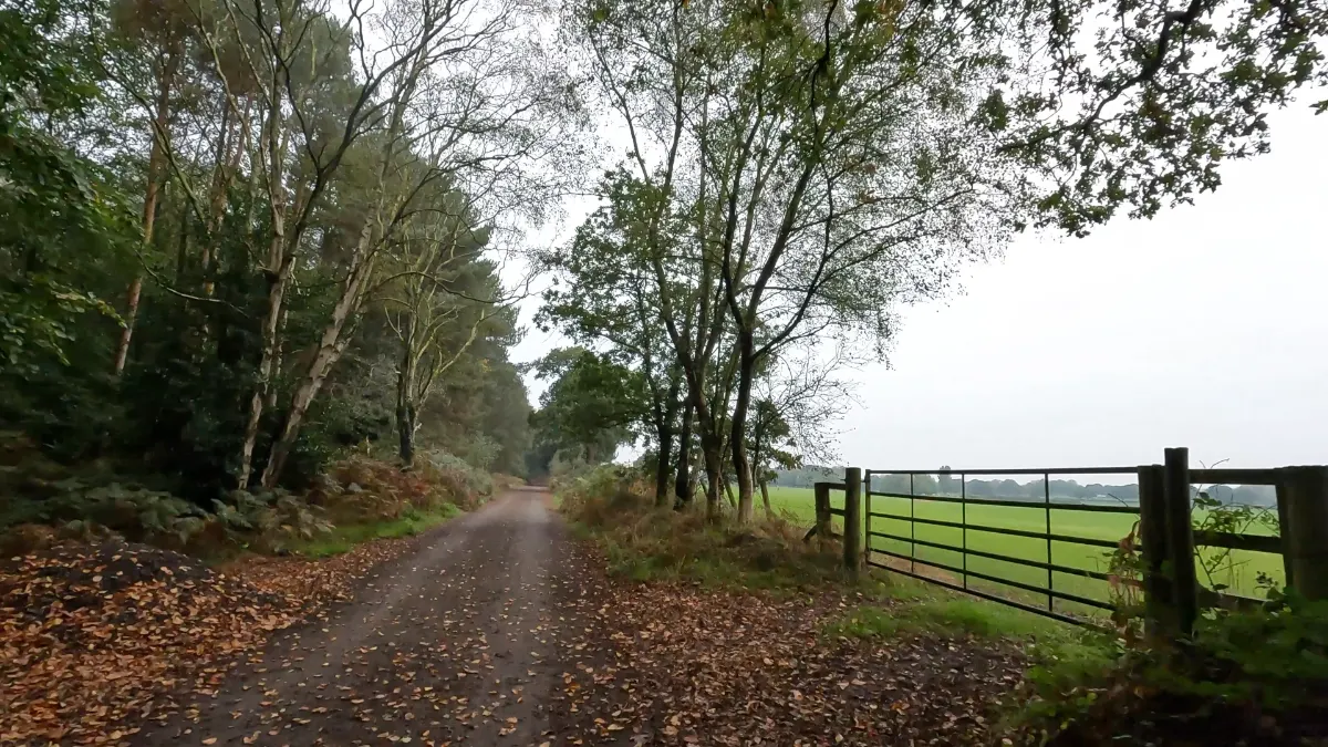 On the Goostrey and Allostock to Dovemere route