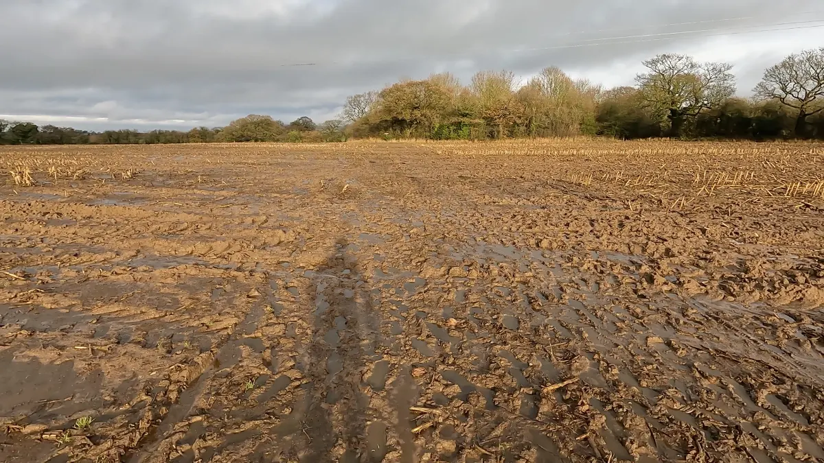 On the Tarporley Circular with Views of Beeston route