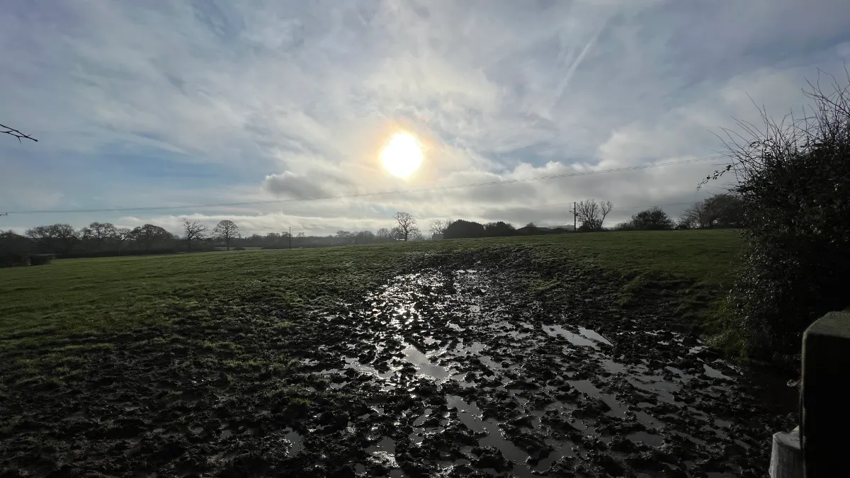 On the Tarporley Circular with Views of Beeston route