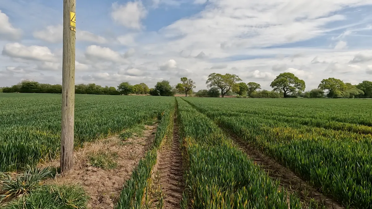 On the Brown Moss and Prees Heath route