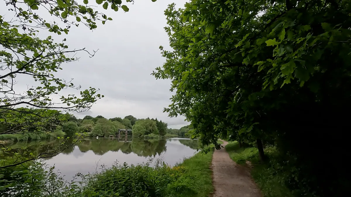 On the Whitegate Circular route