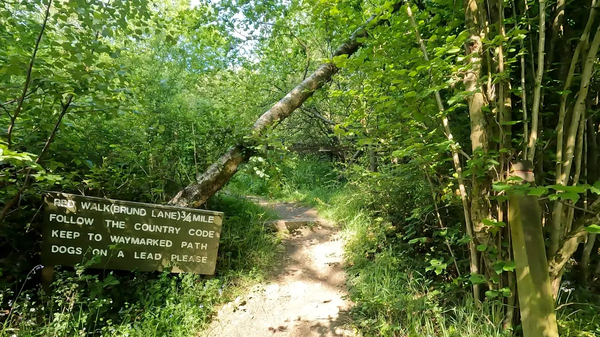 On the Cheddleton to Deep Hayes Country Park route