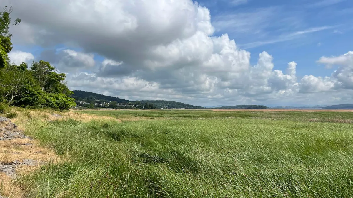 On the Grange-over-Sands to Cark route