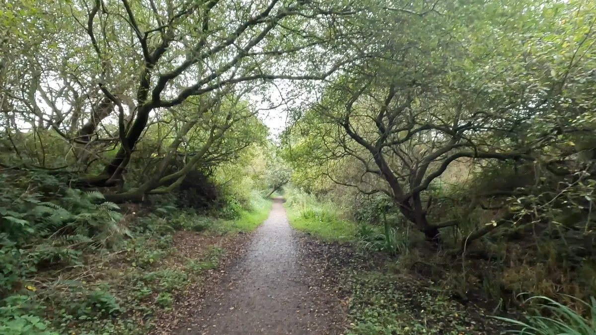On the Audley, the Audley Line and Bateswood route